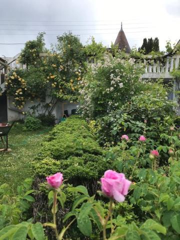 Un Paradis De Verdure En Plein Centre Ville Perigueux Exterior photo